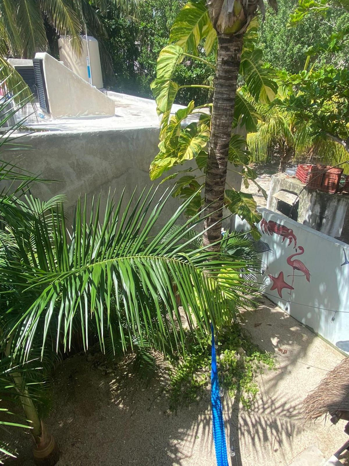 Hotel Pelecanus Suites Holbox Bagian luar foto