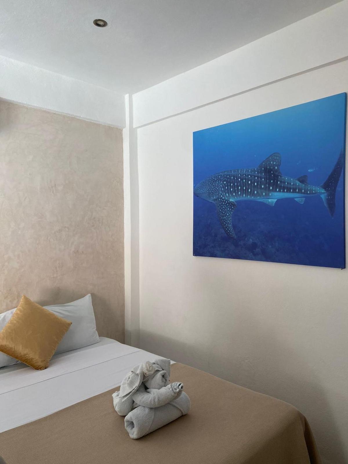 Hotel Pelecanus Suites Holbox Bagian luar foto