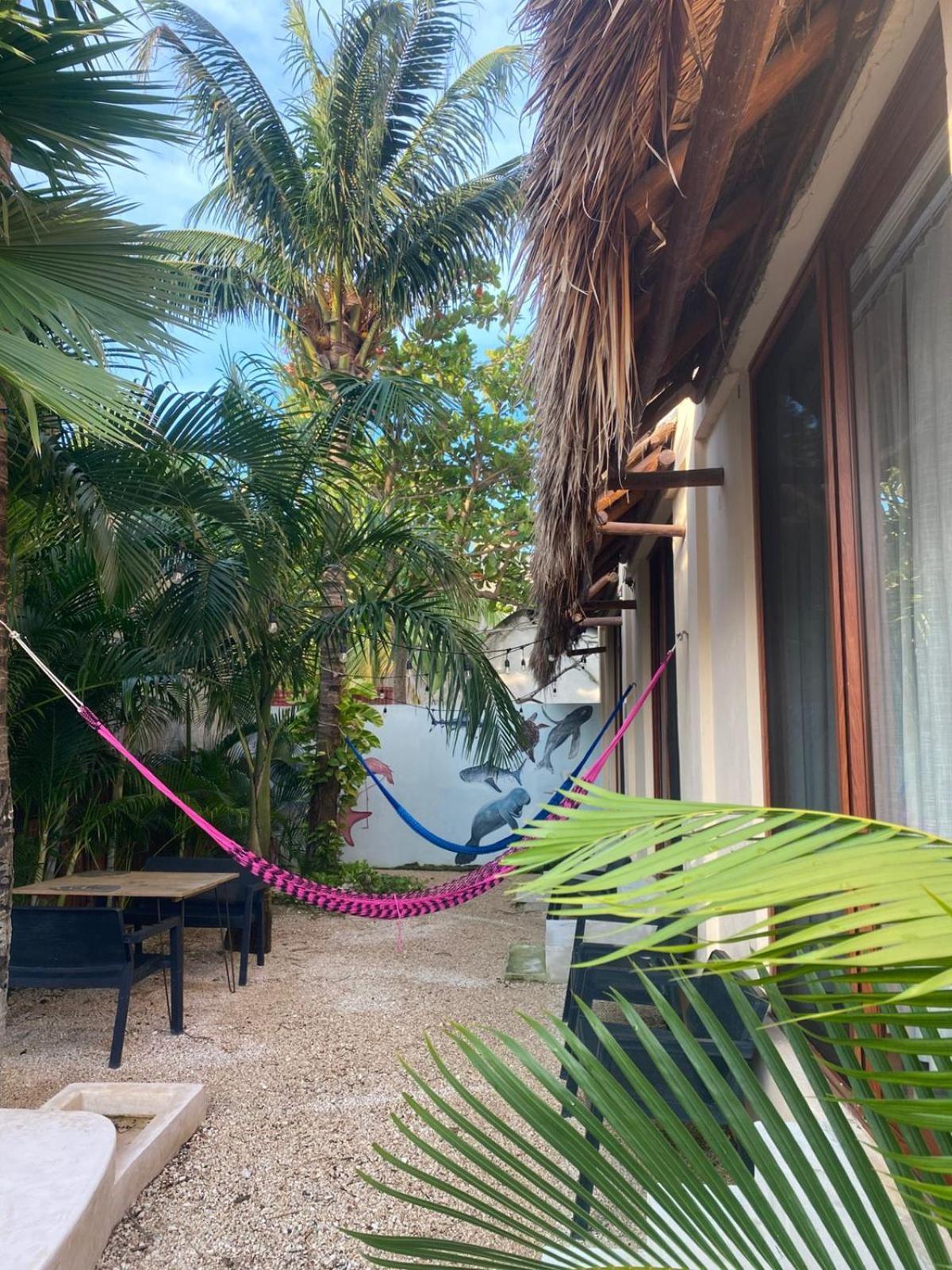 Hotel Pelecanus Suites Holbox Bagian luar foto