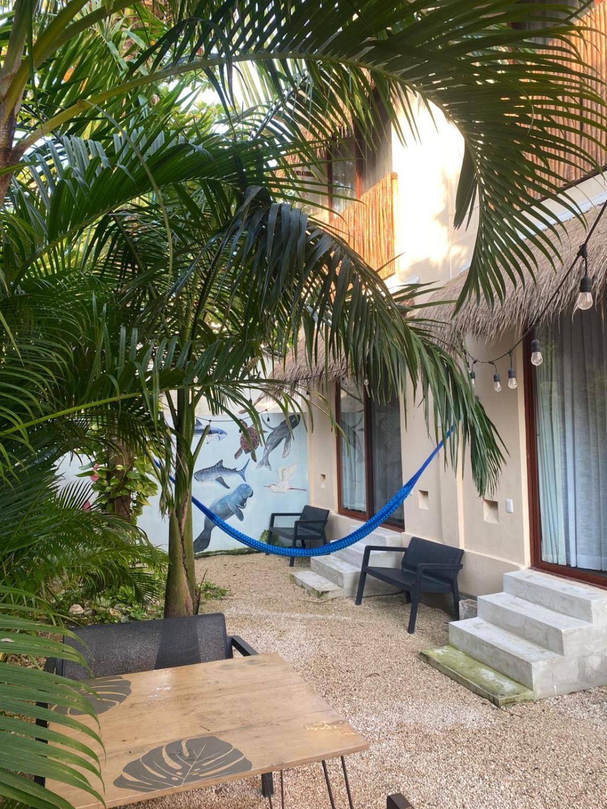 Hotel Pelecanus Suites Holbox Bagian luar foto