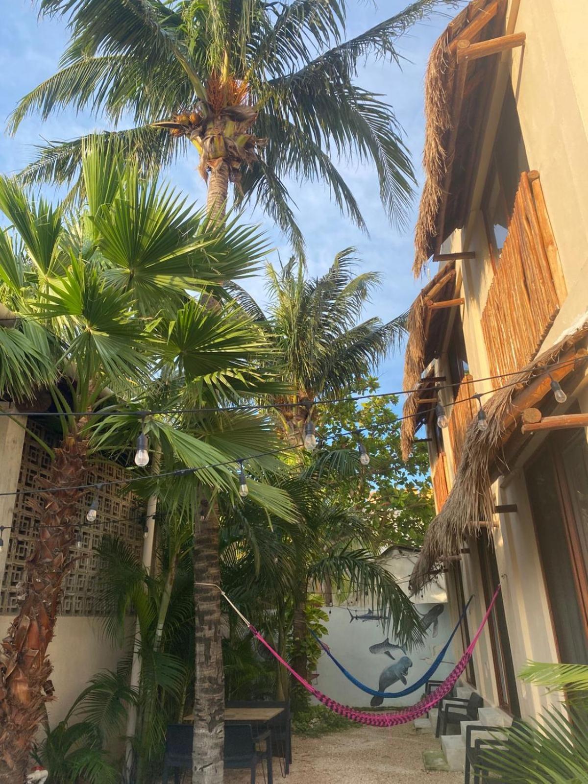 Hotel Pelecanus Suites Holbox Bagian luar foto